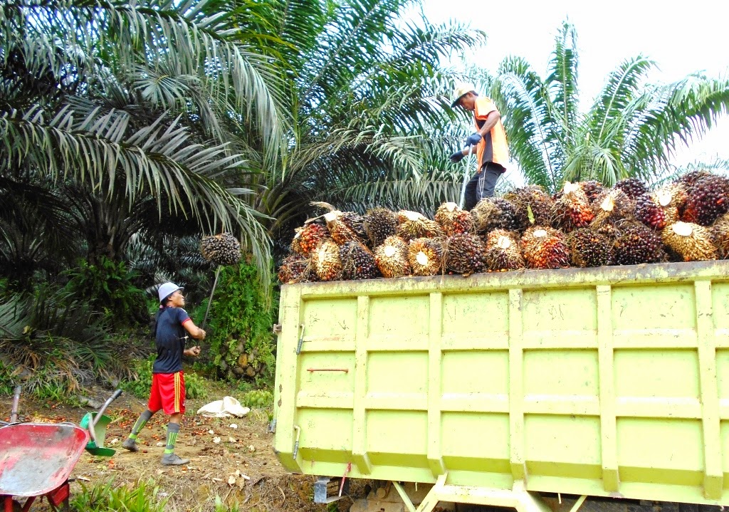Bahan produksi diterapkan untuk industri serta manajemen pengeluaran